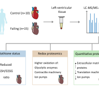 Advanced Redox and Protein Profiling of Failing Human Hearts Using Mass Spectrometry