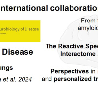 Nicotinamide Riboside and Reactive Species Interactome: New Pathways in Alzheimer’s Disease Therapy