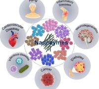 Nanozymes: Revolutionizing Biomedical Therapies through Redox Regulation